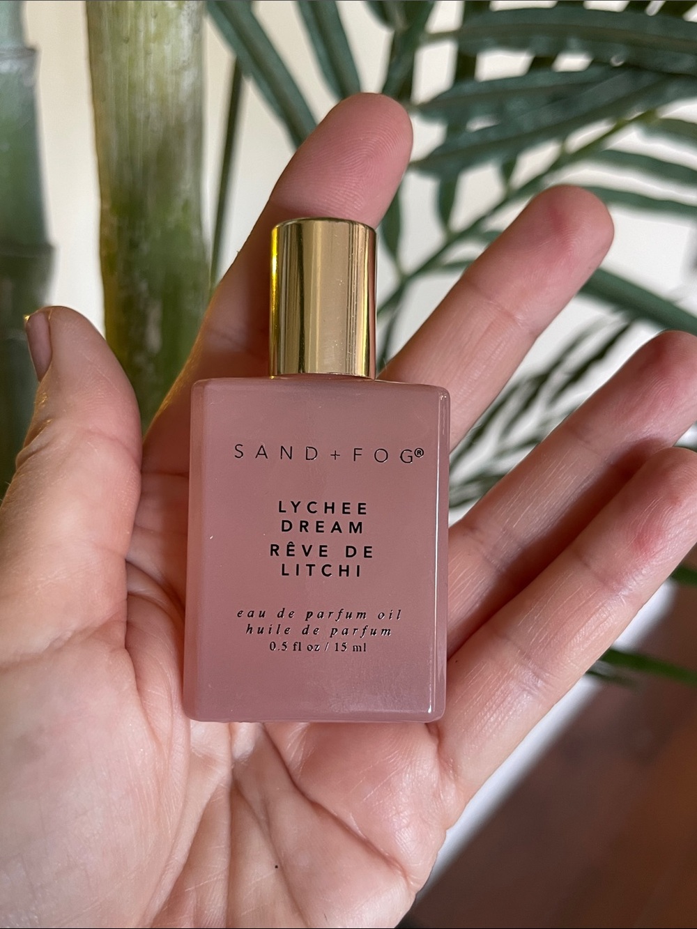 P305. LYCHEE DREAM | Sand + Fog